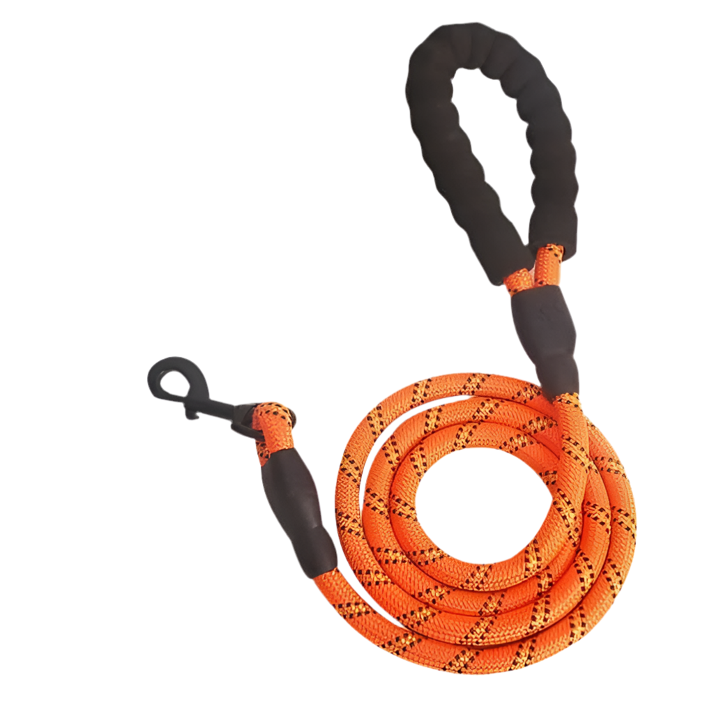 Glowing Dog Leash: for Nighttime Walks