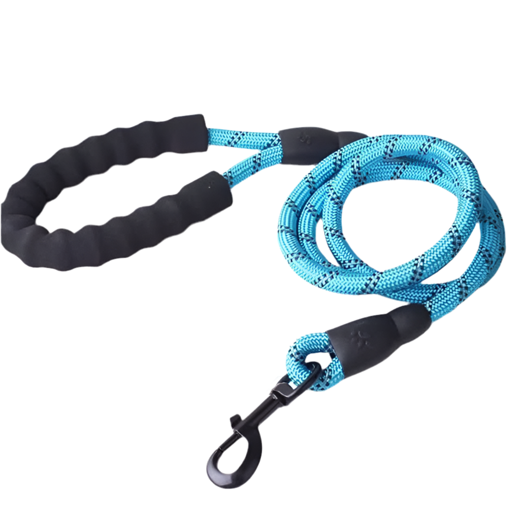 Glowing Dog Leash: for Nighttime Walks