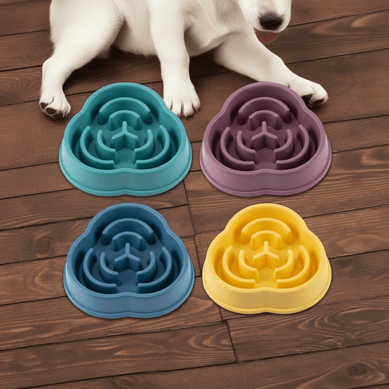 Slow Feeder Dog Bowl - PawsiFypets Pets Care - Conventional / 01 Style Blue PawsiFypets