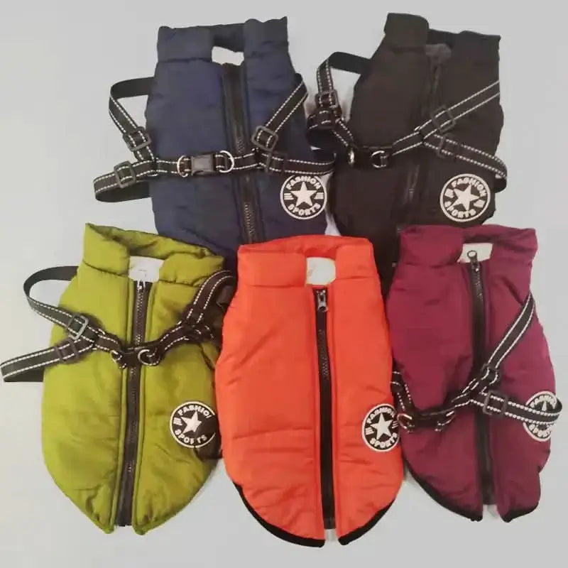 Autumn Winter Pet Clothing – Cozy & Stylish Outfits for Pets - PawsiFypets