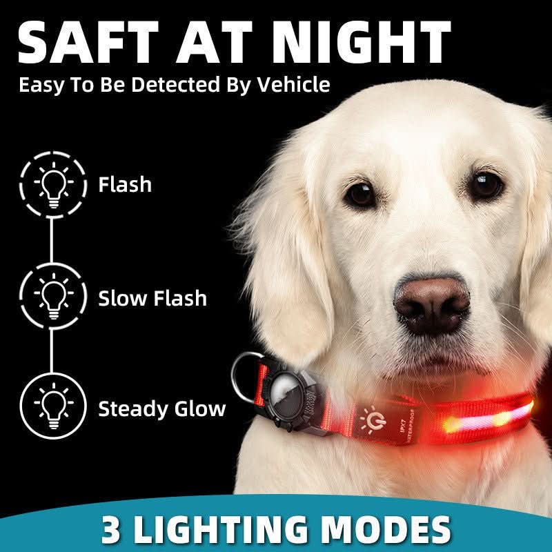 Waterproof Pet Collar Locator - PawsiFypets Pet traveling Essential - Blue / S PawsiFypets