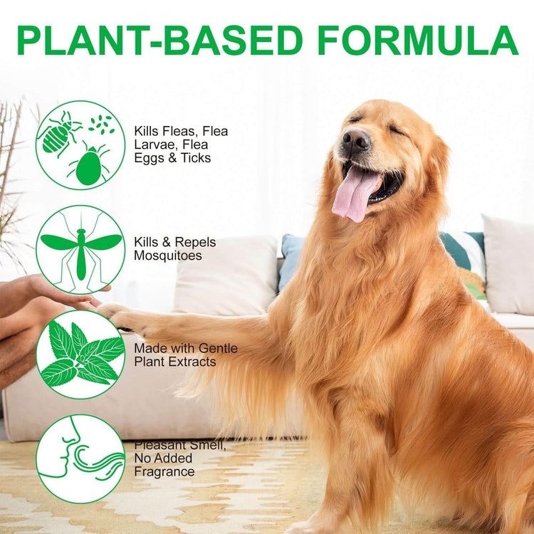 Natural Flea Tick Spray - Plant - Based Pet Parasite Treatment for Dogs & Cats - PawsiFypets