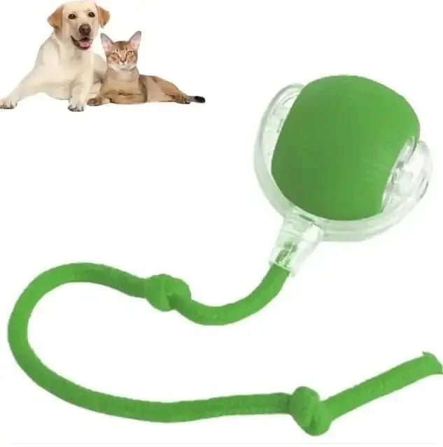 Rope Smart Pet Rolling Ball Toy - PawsiFypets