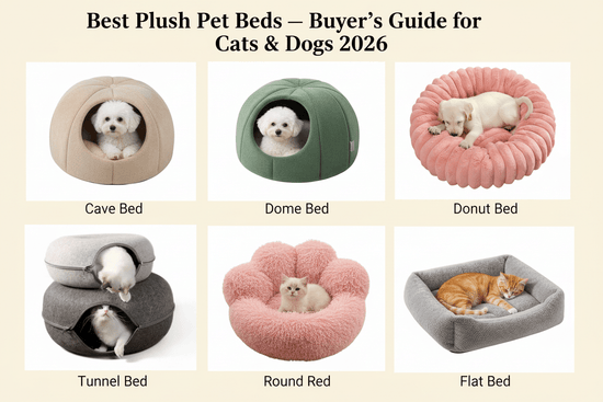 Best Plush Pet Beds - Buyer's Guide for Cats & Dogs 2026 - PawsiFypets