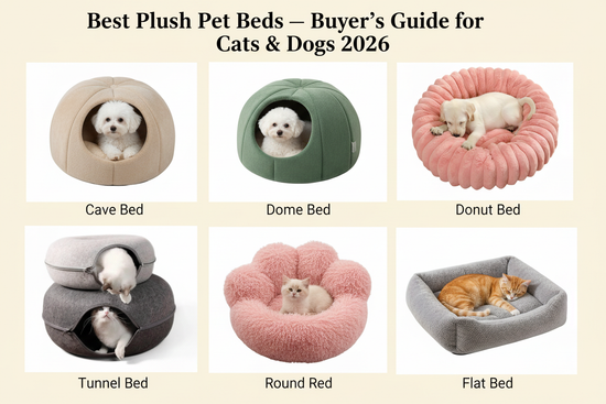 Best plush pet beds 2026 — Pawsify collection of enclosed cave bed, dome bed, donut anti-anxiety bed, tunnel cat bed, round plush bed and flat pet bed for cats and dogs pawsifypets