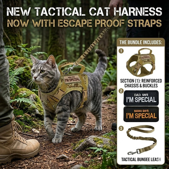 Pawsify™ vs. Julius-K9 vs. Rabbitgoo: Which Cat Harness is Actually Escape-Proof? (2026) - PawsiFypets