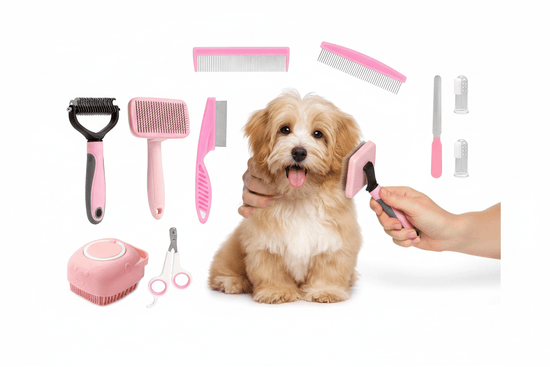 The Ultimate Guide to Professional Dog Grooming Tools - PawsiFypets