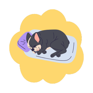Beds - PawsiFypets