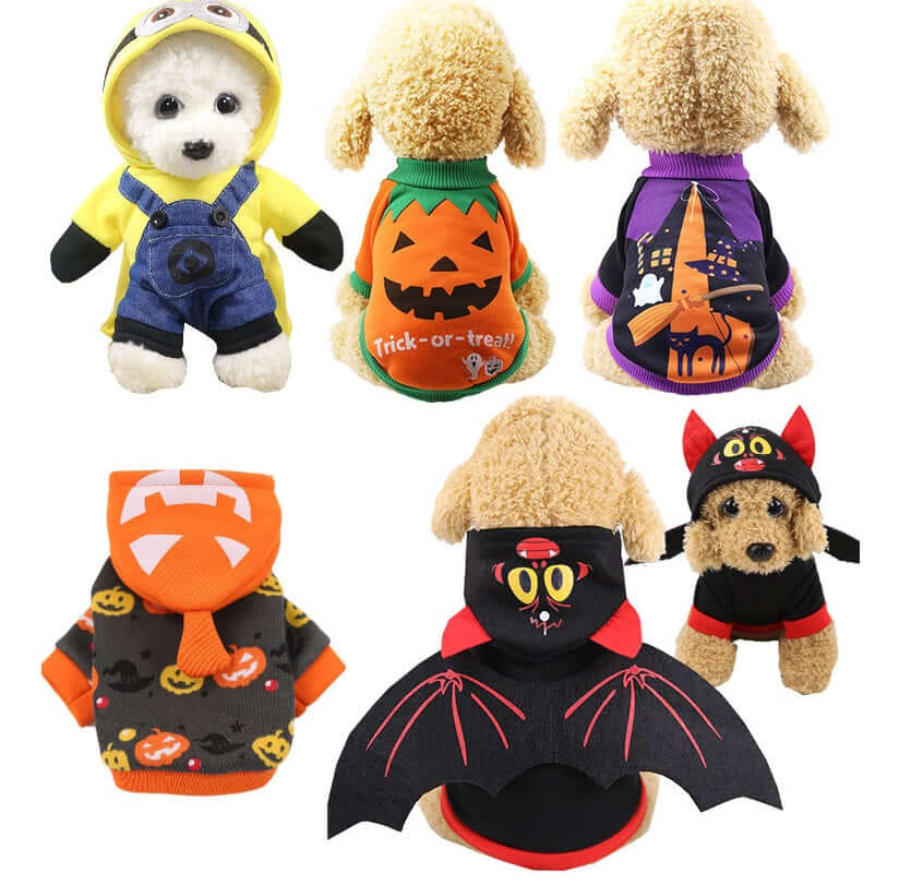 Halloween funny pet clothes - PawsiFypets Pet Clothing - Purple / XS PawsiFypets