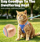 Cat wearing a blue harness in a park with text about heat relief Pawsifypets 