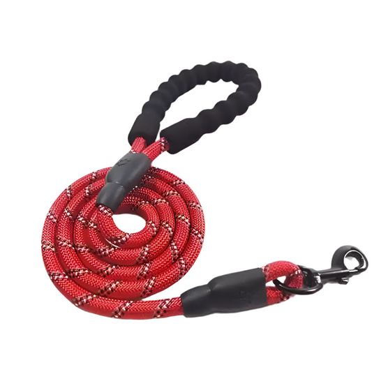 Glowing Dog Leash: for Nighttime Walks