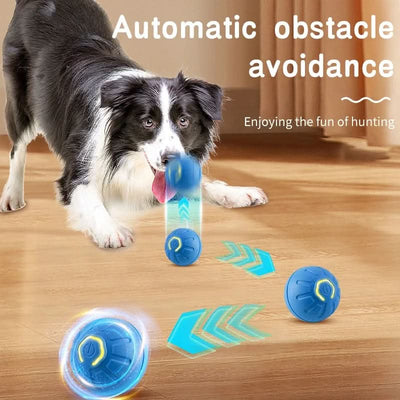 Interactive Smart Pet Toy Ball - USB Rechargeable Motion-Activated Dog Cat Toy - PawsiFypets Interactive Pet Toys - Jumping Ball Blue PawsiFypets