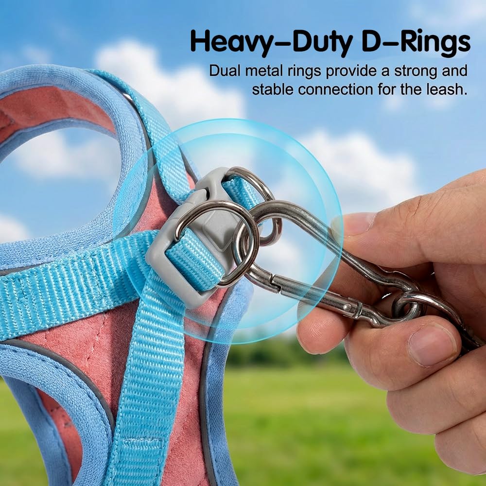 Dog harness with heavy-duty D-rings and a hand holding it, with text about their strength. Pawsifypets 