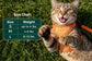 Cat wearing an orange harness with a size chart on a grass background Pawsifypets 