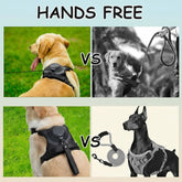 Comparison of different dog harnesses and leashes with text &