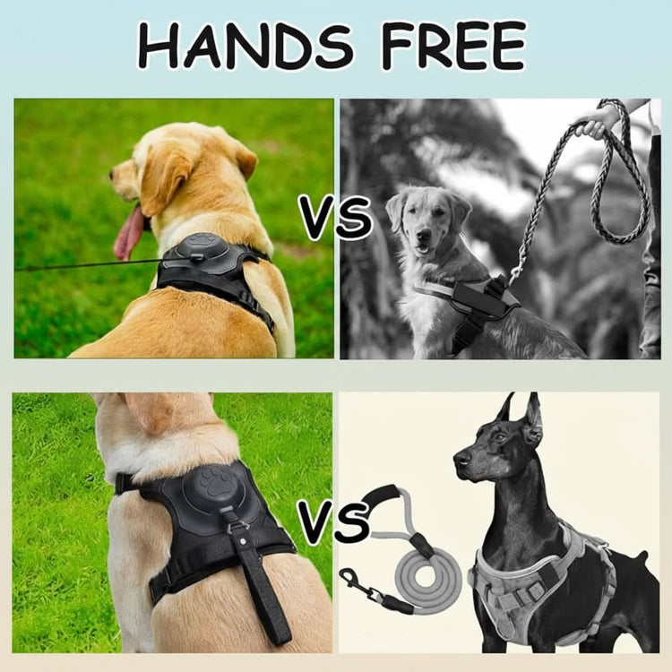 Comparison of different dog harnesses and leashes with text &