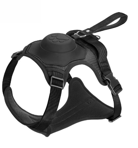black dog harness with white background
