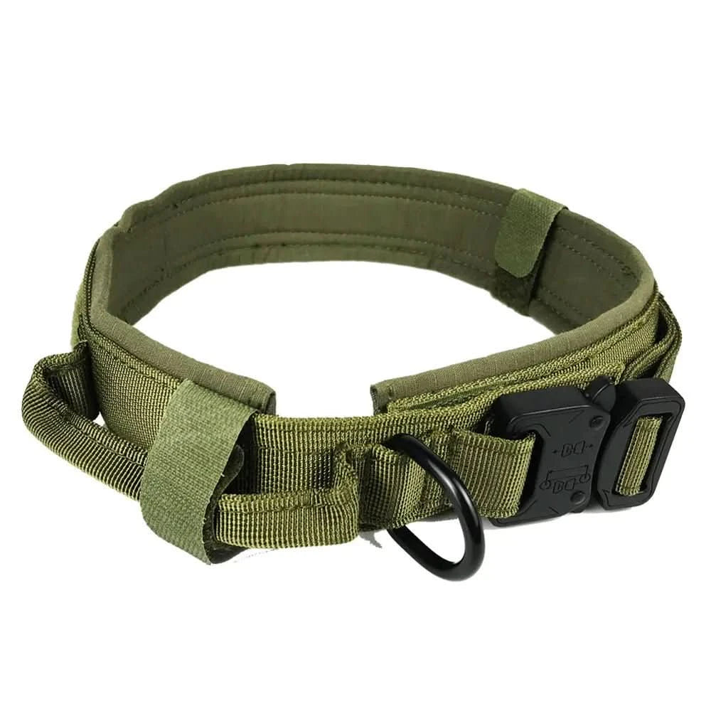 Adjustable & Durable Dog Collar - PawsiFypets - Army Green / M PawsiFypets