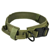 Adjustable & Durable Dog Collar - PawsiFypets - Army Green / M PawsiFypets