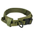 Adjustable & Durable Dog Collar - PawsiFypets - Army Green / M PawsiFypets