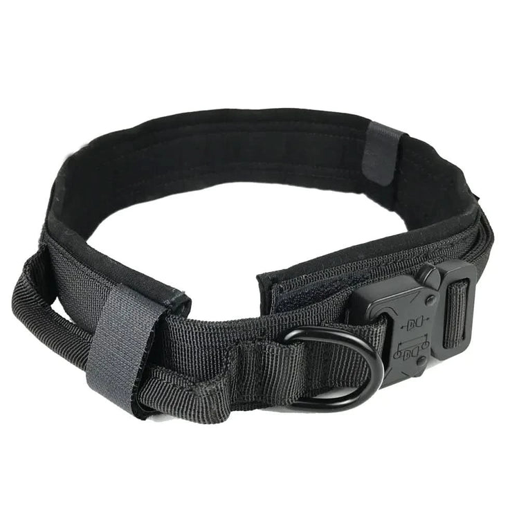 Adjustable & Durable Dog Collar - PawsiFypets - Black / M PawsiFypets