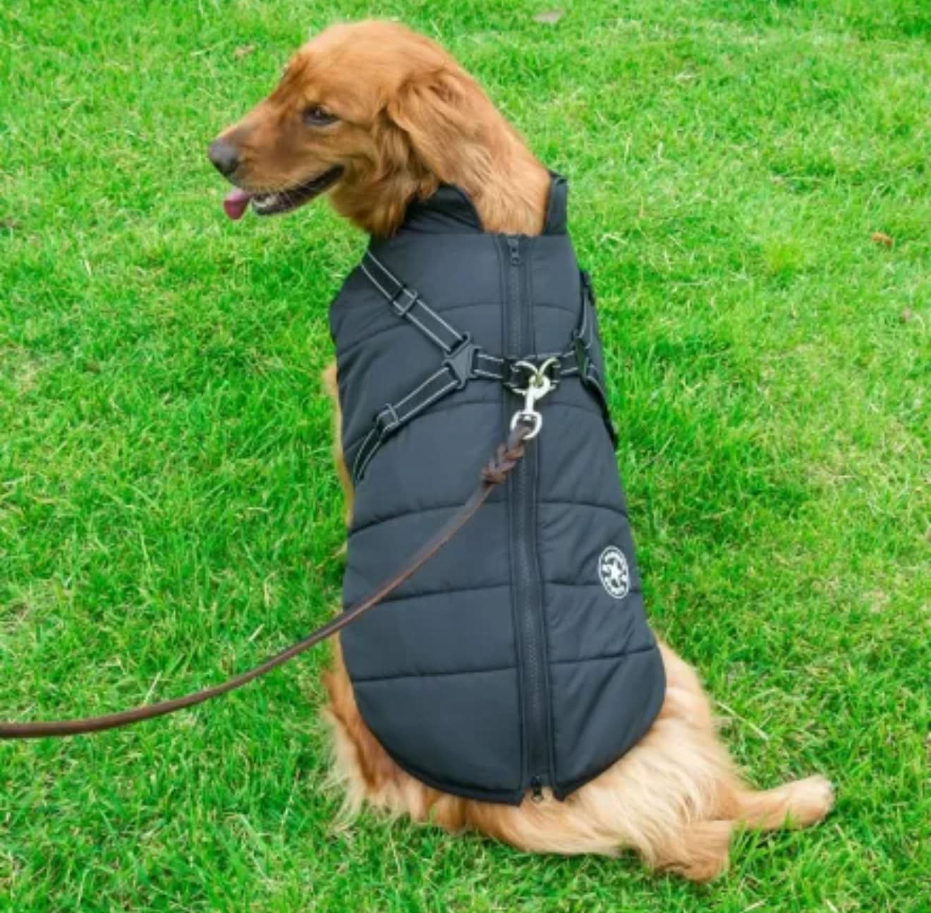 Autumn Winter Pet Clothing – Cozy Warm Outfits for Dogs & Cats - PawsiFypets Seasonal Pet Clothing - Red / S PawsiFypets