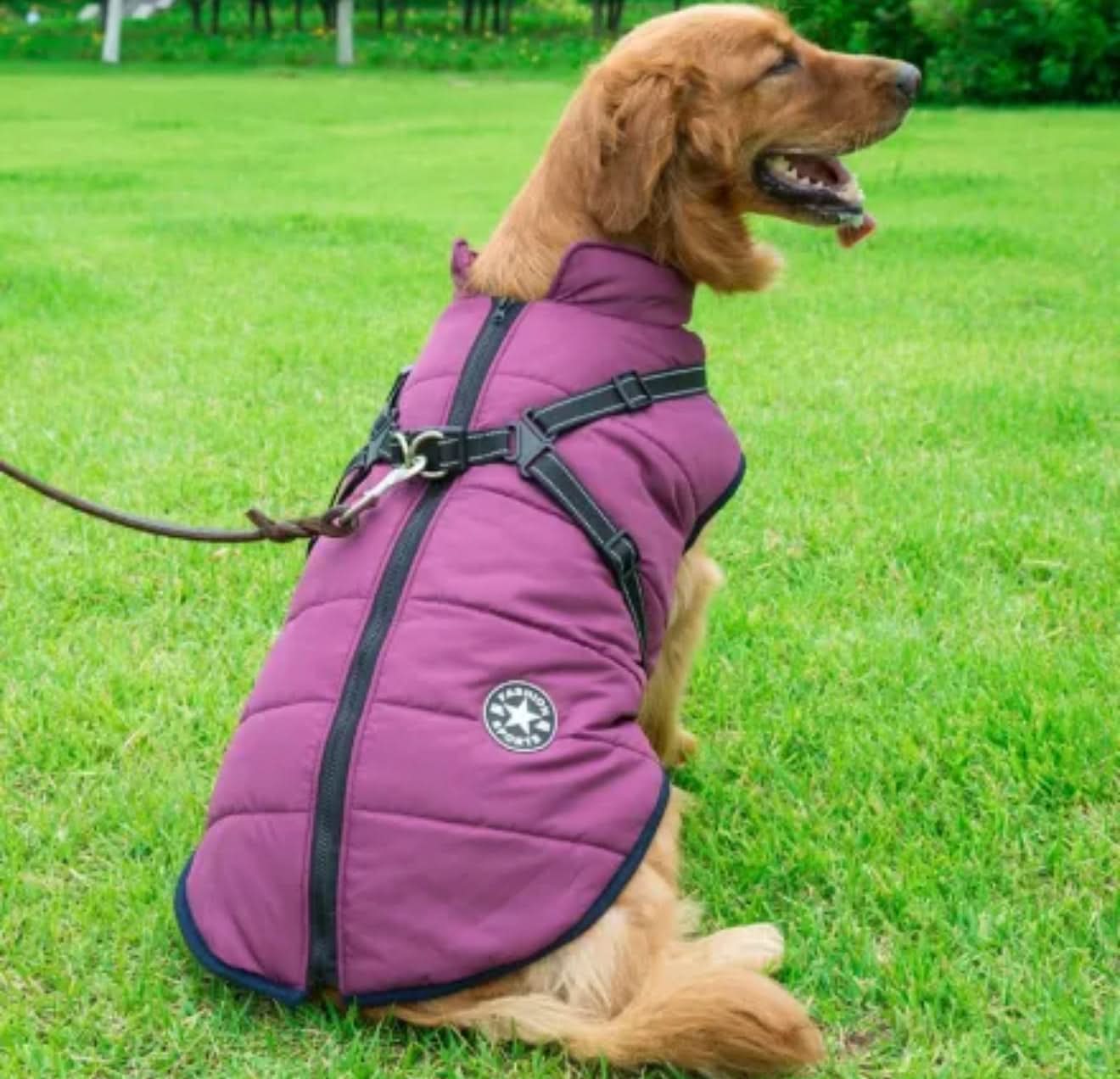 Autumn Winter Pet Clothing – Cozy Warm Outfits for Dogs & Cats - PawsiFypets Seasonal Pet Clothing - Red / S PawsiFypets