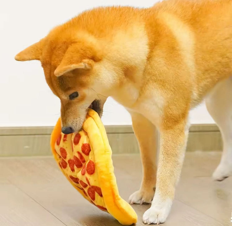 Bite-Resistant Pizza Pet Toy - Durable Chew Toy for Dogs & Puppies - PawsiFypets Dog Chew Toys - Yellow / 24x24x2.5cm PawsiFypets