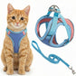 Cat wearing a blue harness and leash set on a white background Pawsifypets 
