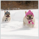 Two dogs running in the snow wearing hats one pink one black 