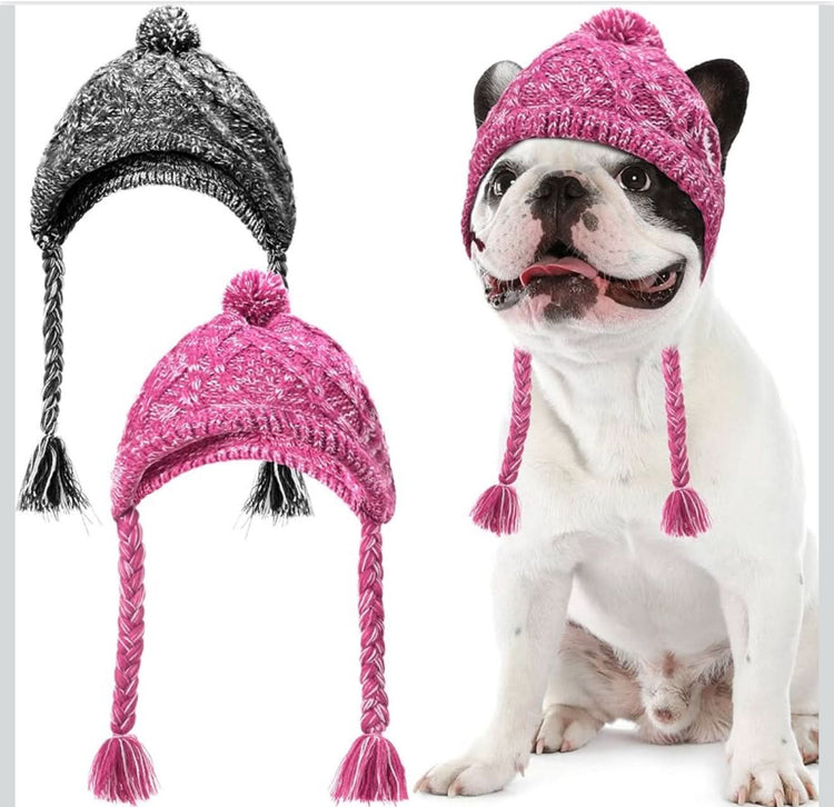 White dog wearing pink hat with white background and two hat one pink one black 