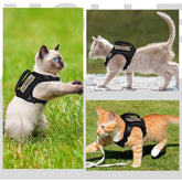 Cat Walking Harness with Secure Chest Strap - Escape-Proof Pet Harness - PawsiFypets