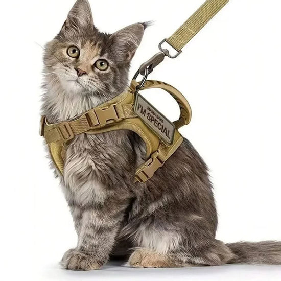Cat Walking Harness with Secure Chest Strap - Escape-Proof Pet Harness - PawsiFypets