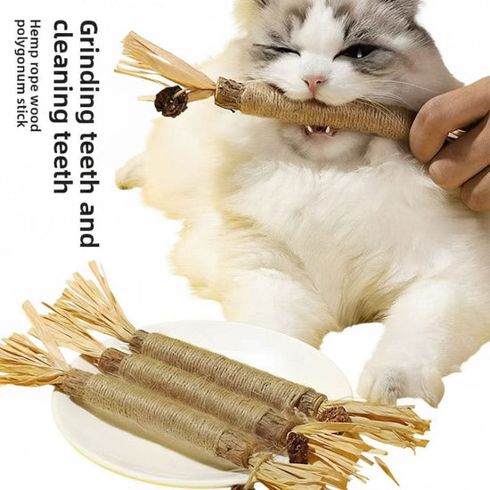 Cat chewing on a wooden stick with text about dental health benefits, against a yellow background.