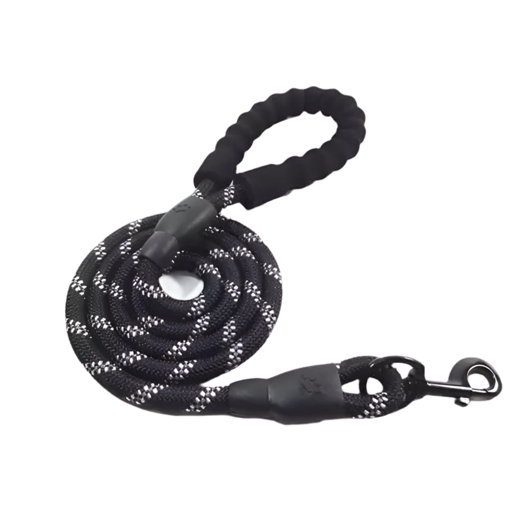 Glowing Dog Leash: for Nighttime Walks