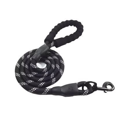 Glowing Dog Leash: for Nighttime Walks