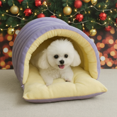 Small white dog in a yellow and purple pet bed with a Christmas tree in the background