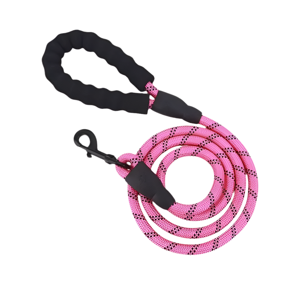 Glowing Dog Leash: for Nighttime Walks