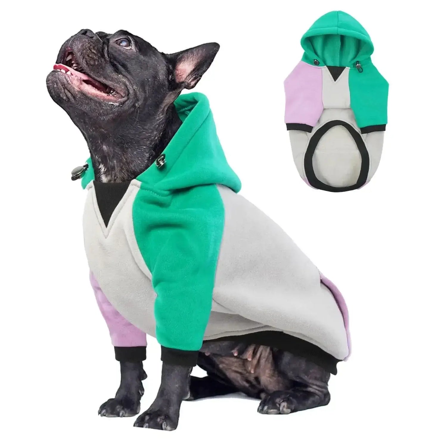 French Bulldog Dog Sweatshirt Hoodie - Warm Winter Pullover with Pocket - PawsiFypets Breed-Specific Dog Clothing - Green / Large PawsiFypets