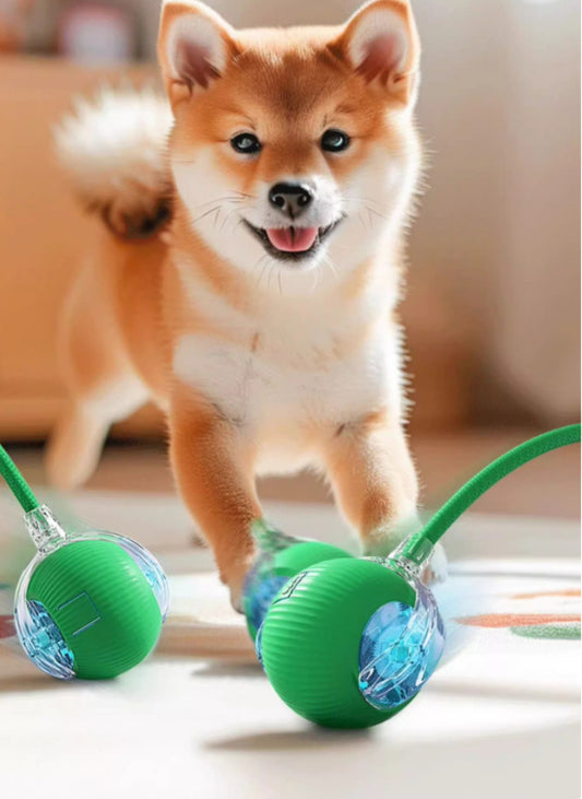 Rope Smart Pet Rolling Ball Toy - PawsiFypets Pet Toys - Gray PawsiFypets