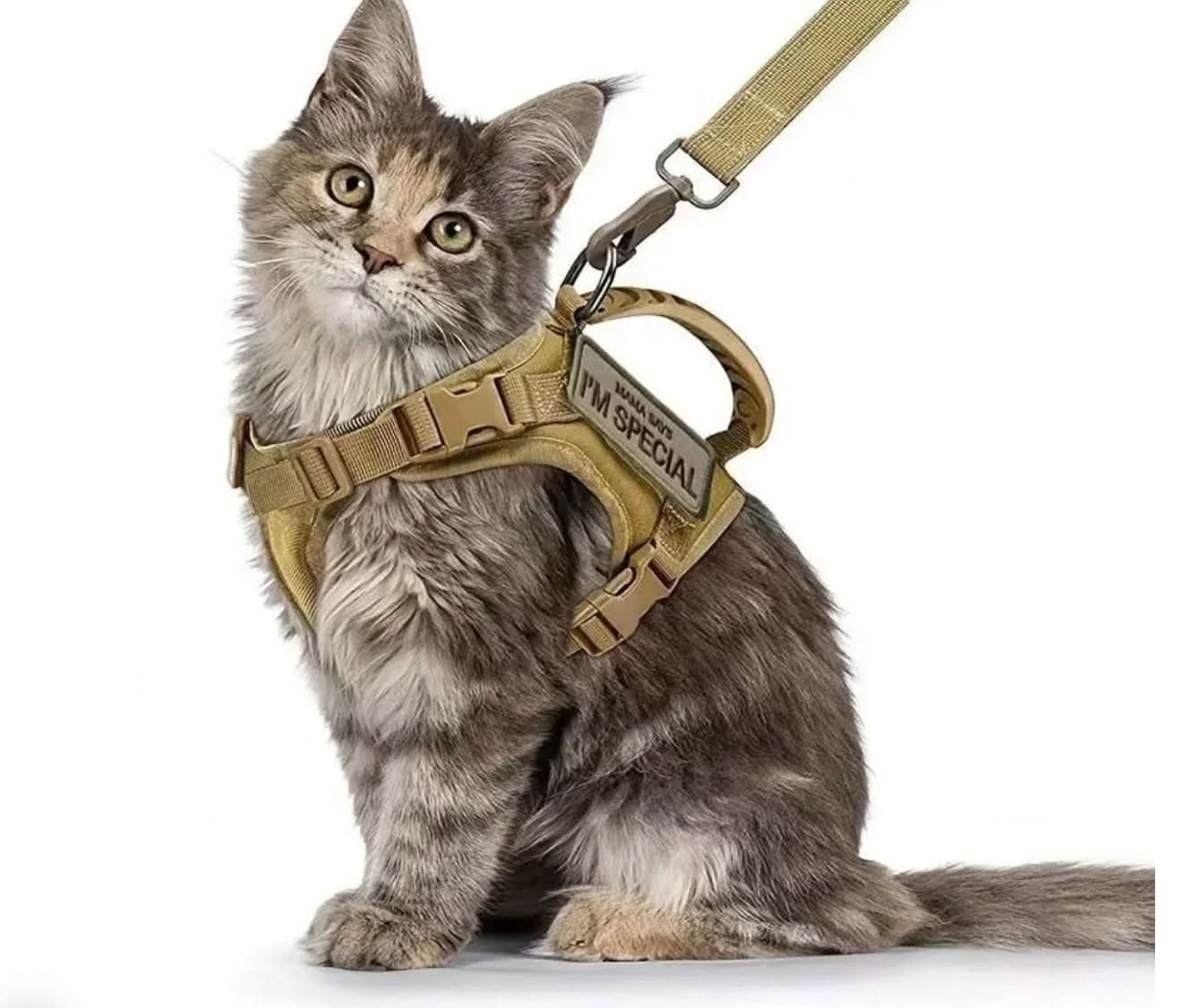 Cat Walking Harness with Secure Chest Strap - Escape-Proof Pet Harness - PawsiFypets Pet traveling Essential - Black PawsiFypets