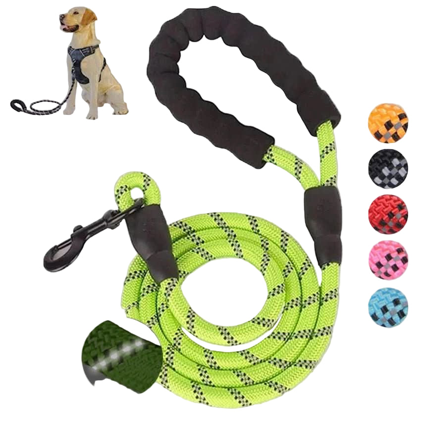 Glowing Dog Leash: for Nighttime Walks - PawsiFypets Pet traveling Essential - Black PawsiFypets