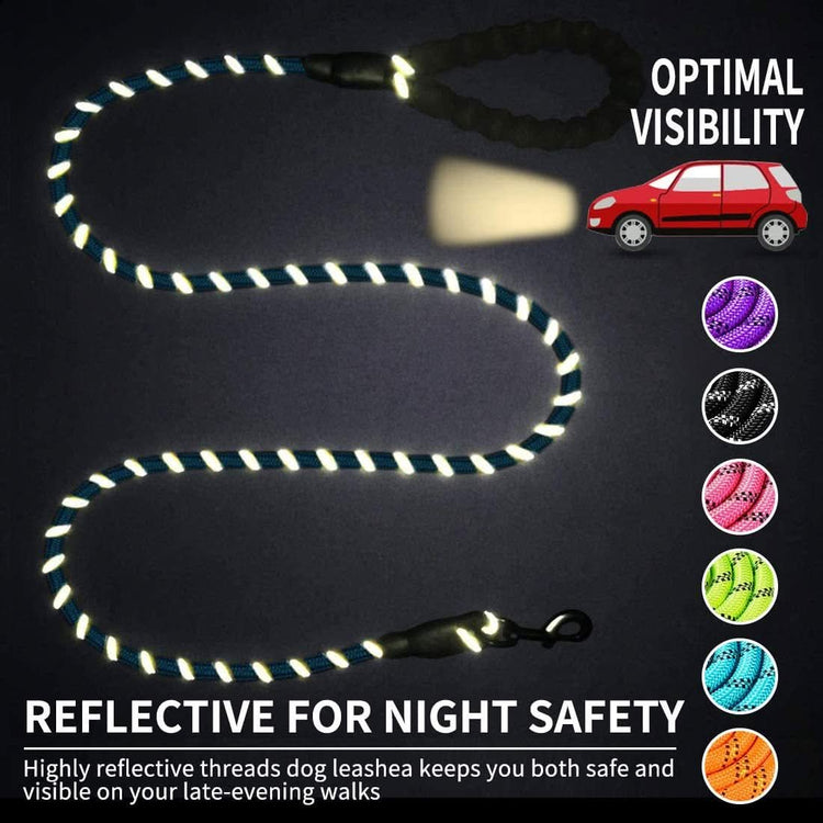Glowing Dog Leash: for Nighttime Walks - PawsiFypets Pet traveling Essential - Black PawsiFypets