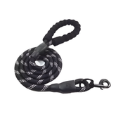 Glowing Dog Leash: for Nighttime Walks - PawsiFypets