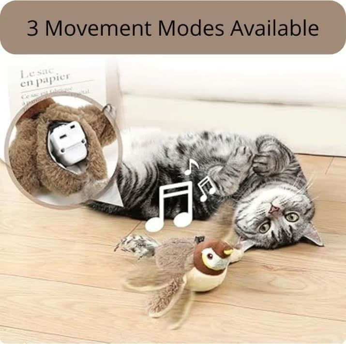 Cat playing with a toy on a wooden floor, with text indicating &