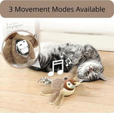 Cat playing with a toy on a wooden floor, with text indicating &