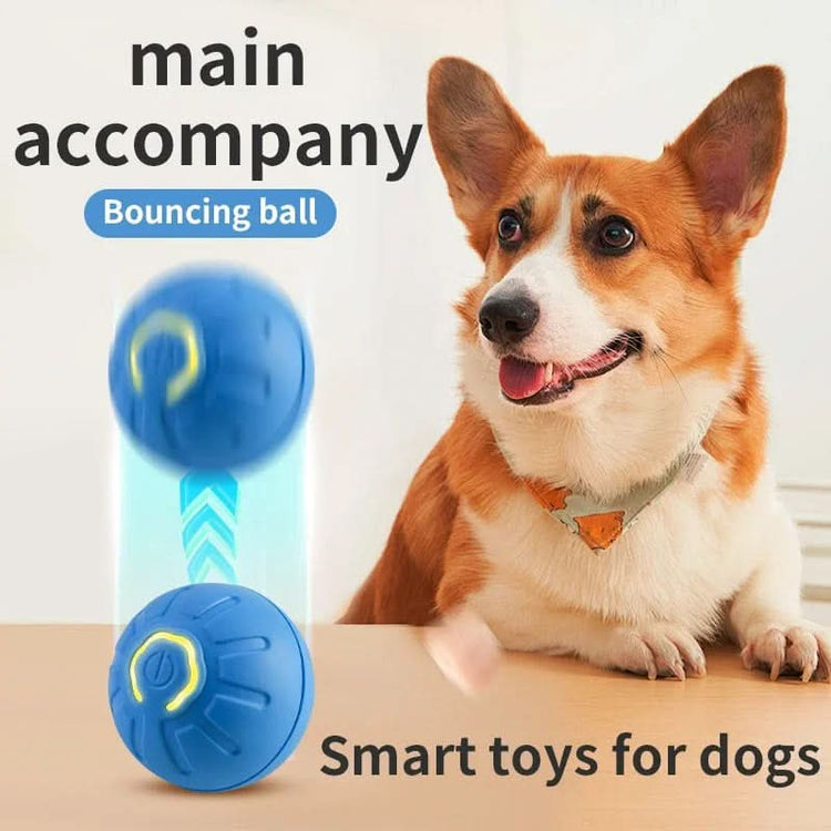 Interactive Smart Pet Toy Ball USB Rechargeable Motion Activated - PawsiFypets Interactive Pet Toys - Jumping Ball Blue PawsiFypets