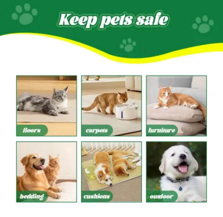 Natural Flea Tick Spray - Plant-Based Pet Parasite Treatment for Dogs & Cats - PawsiFypets Pet Health & Wellness - Spray PawsiFypets