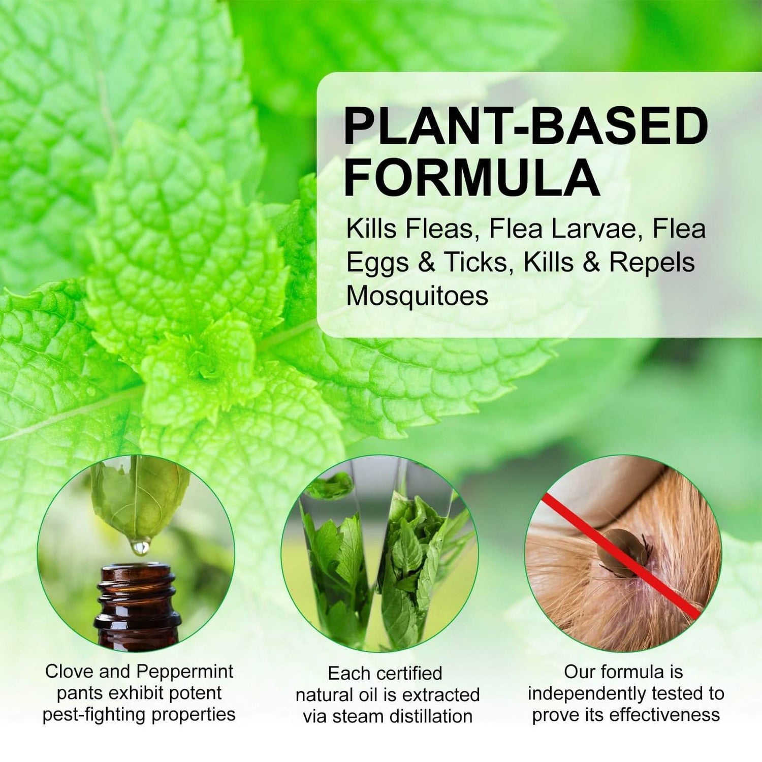 Natural Flea Tick Spray - Plant-Based Pet Parasite Treatment for Dogs & Cats - PawsiFypets Pet Health & Wellness - Spray PawsiFypets