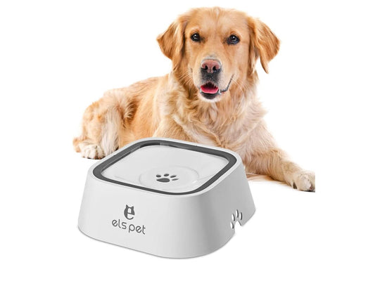No Spill Pet Water Bowl - PawsiFypets